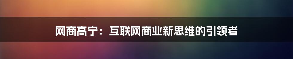 网商高宁：互联网商业新思维的引领者