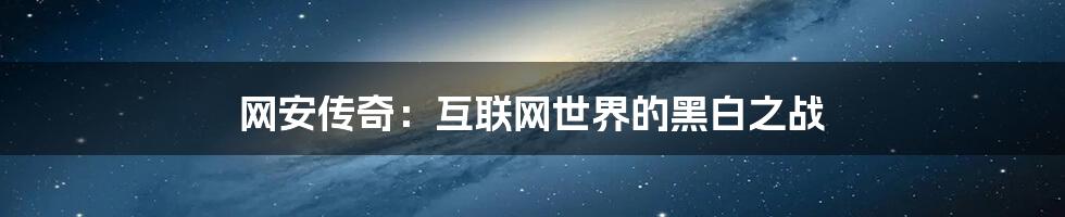 网安传奇：互联网世界的黑白之战