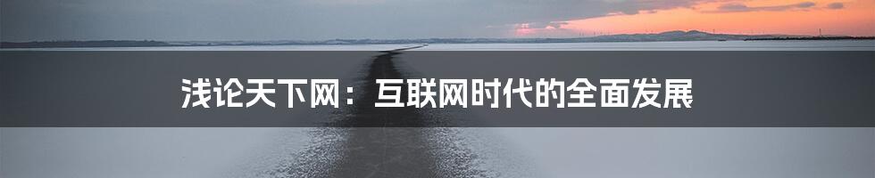 浅论天下网：互联网时代的全面发展