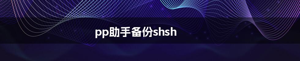 pp助手备份shsh