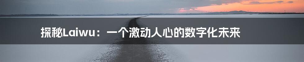 探秘Laiwu：一个激动人心的数字化未来