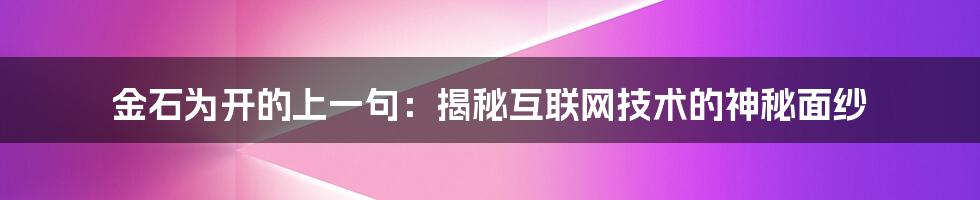 金石为开的上一句：揭秘互联网技术的神秘面纱