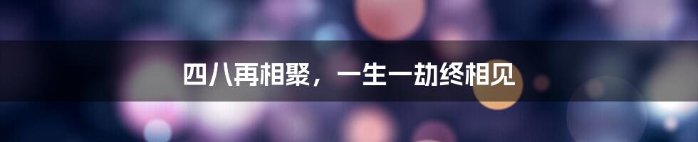 四八再相聚，一生一劫终相见