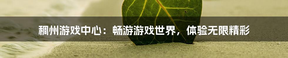 稠州游戏中心：畅游游戏世界，体验无限精彩