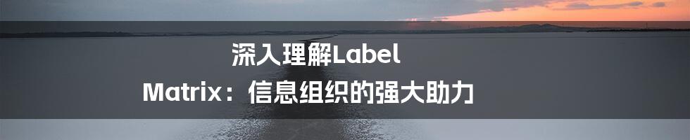 深入理解Label Matrix：信息组织的强大助力