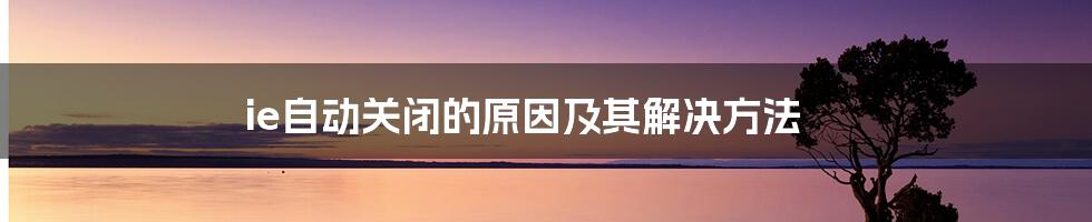 ie自动关闭的原因及其解决方法