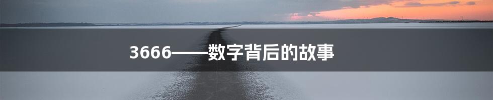 3666——数字背后的故事