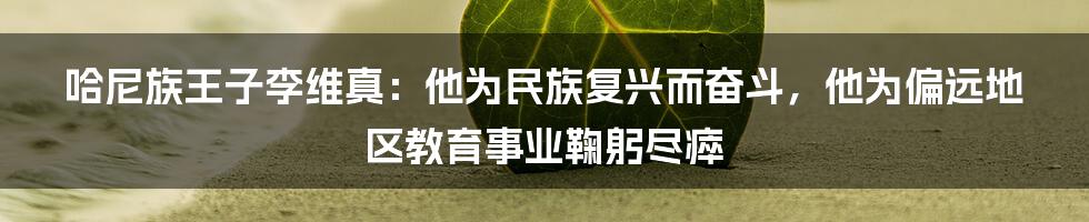 哈尼族王子李维真：他为民族复兴而奋斗，他为偏远地区教育事业鞠躬尽瘁