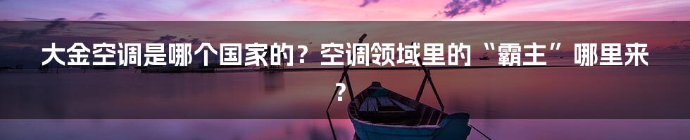 大金空调是哪个国家的？空调领域里的“霸主”哪里来？