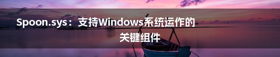 Spoon.sys：支持Windows系统运作的关键组件