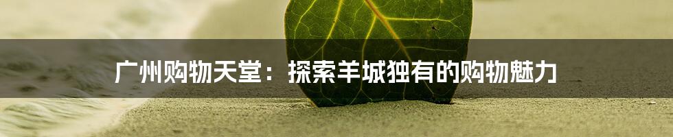 广州购物天堂：探索羊城独有的购物魅力