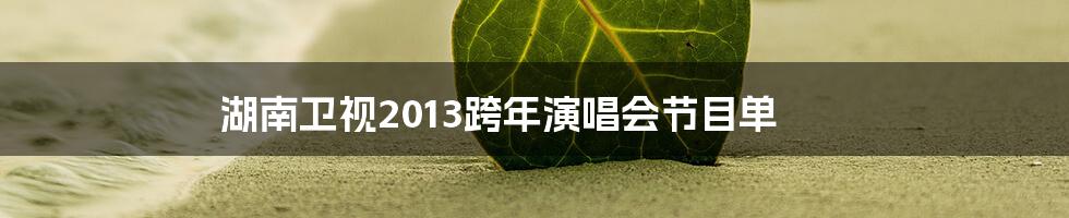 湖南卫视2013跨年演唱会节目单