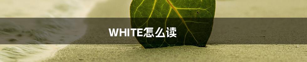 WHITE怎么读