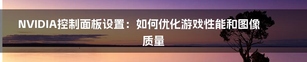 NVIDIA控制面板设置：如何优化游戏性能和图像质量