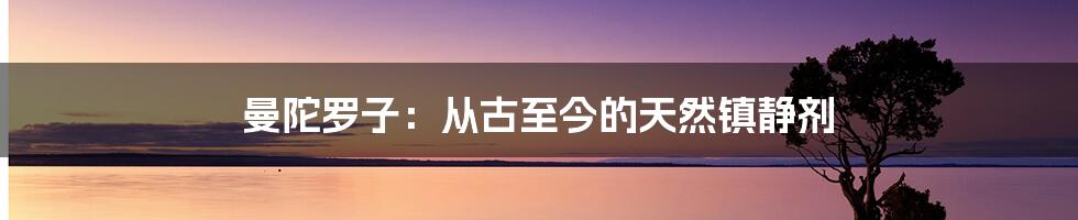 曼陀罗子：从古至今的天然镇静剂