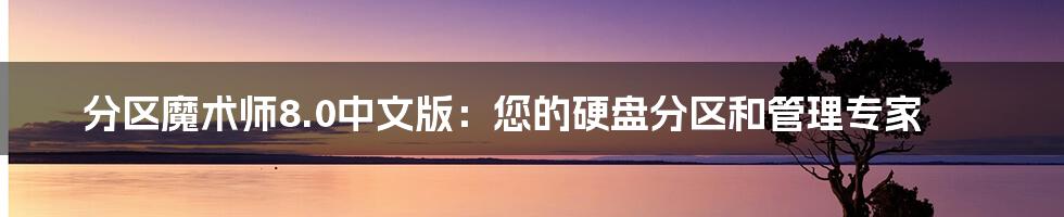 分区魔术师8.0中文版：您的硬盘分区和管理专家