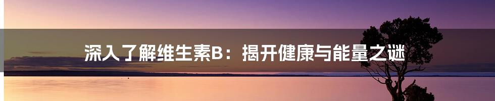 深入了解维生素B：揭开健康与能量之谜