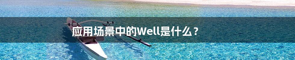 应用场景中的Well是什么？