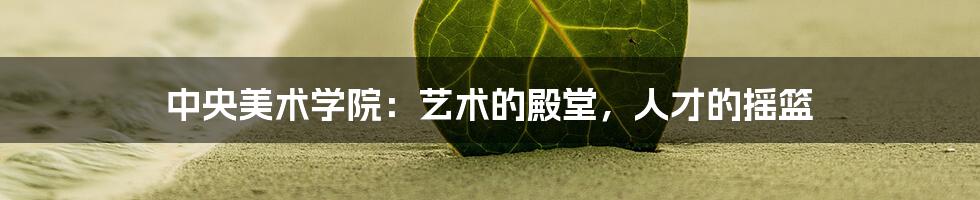 中央美术学院：艺术的殿堂，人才的摇篮