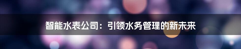 智能水表公司：引领水务管理的新未来