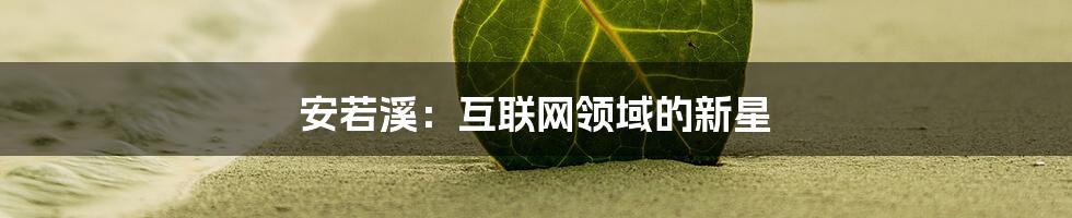 安若溪：互联网领域的新星