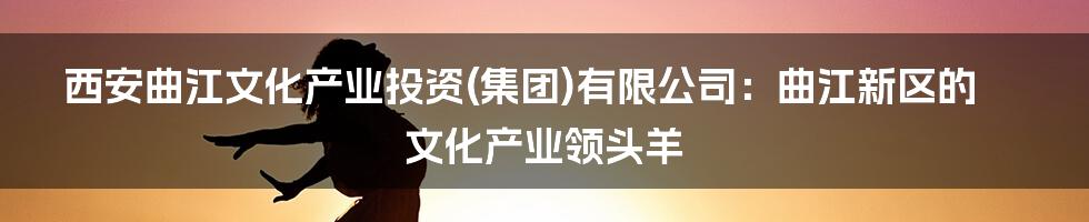 西安曲江文化产业投资(集团)有限公司：曲江新区的文化产业领头羊