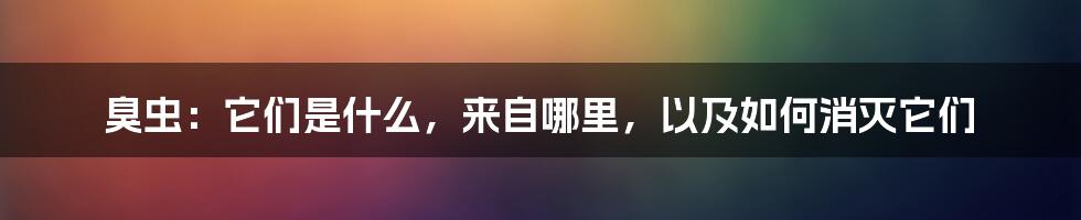 臭虫：它们是什么，来自哪里，以及如何消灭它们