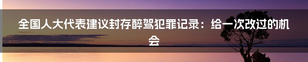 全国人大代表建议封存醉驾犯罪记录：给一次改过的机会