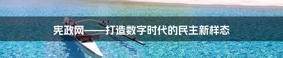 宪政网——打造数字时代的民主新样态