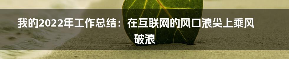 我的2022年工作总结：在互联网的风口浪尖上乘风破浪