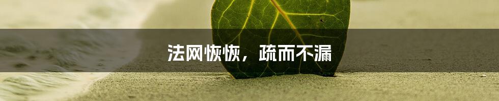 法网恢恢，疏而不漏