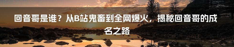 回音哥是谁？从B站鬼畜到全网爆火，揭秘回音哥的成名之路