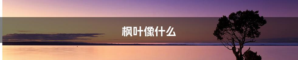 枫叶像什么