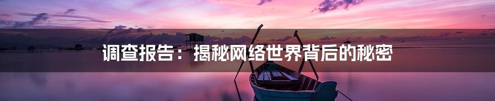 调查报告：揭秘网络世界背后的秘密