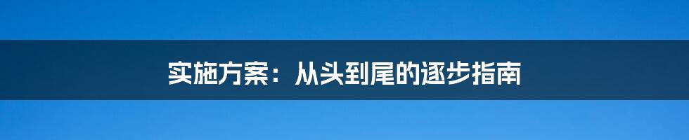 实施方案：从头到尾的逐步指南