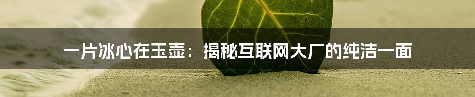 一片冰心在玉壶：揭秘互联网大厂的纯洁一面