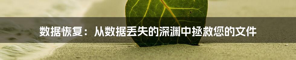 数据恢复：从数据丢失的深渊中拯救您的文件