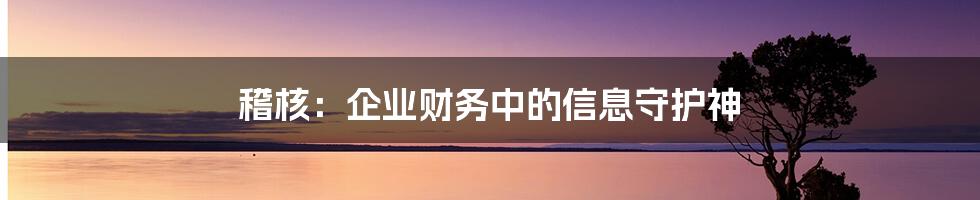 稽核：企业财务中的信息守护神