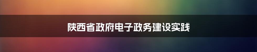 陕西省政府电子政务建设实践