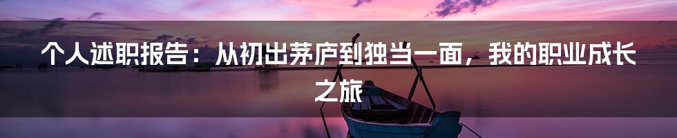 个人述职报告：从初出茅庐到独当一面，我的职业成长之旅