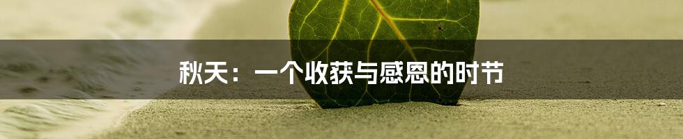 秋天：一个收获与感恩的时节