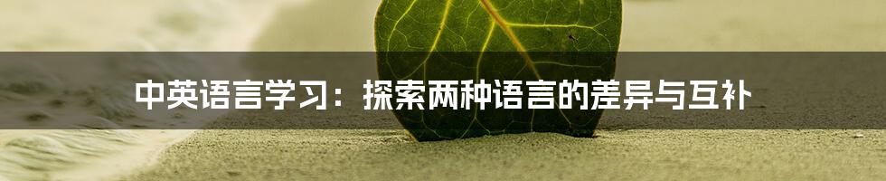 中英语言学习：探索两种语言的差异与互补