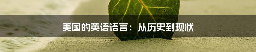 美国的英语语言：从历史到现状