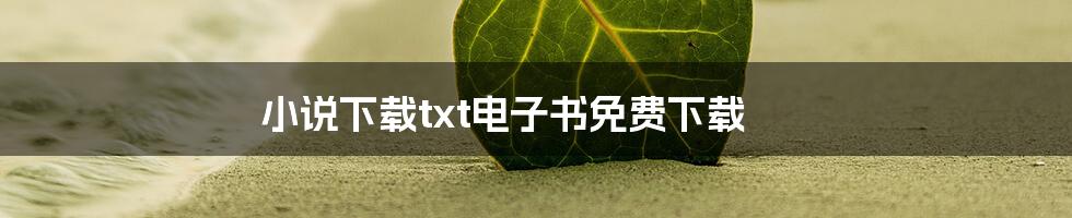 小说下载txt电子书免费下载