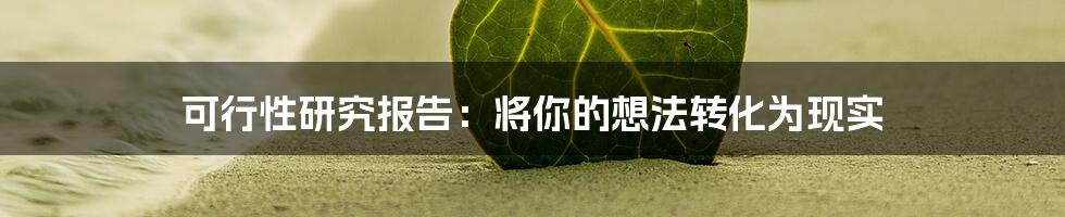 可行性研究报告：将你的想法转化为现实