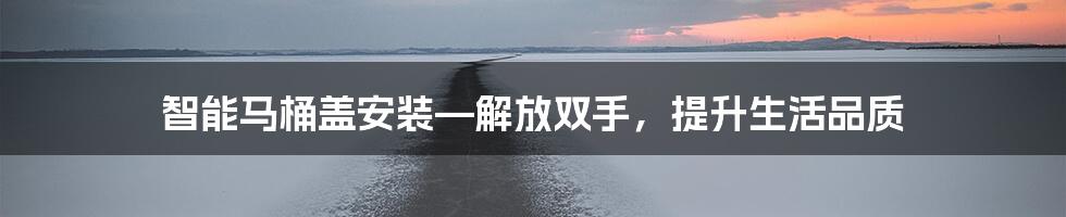 智能马桶盖安装—解放双手，提升生活品质