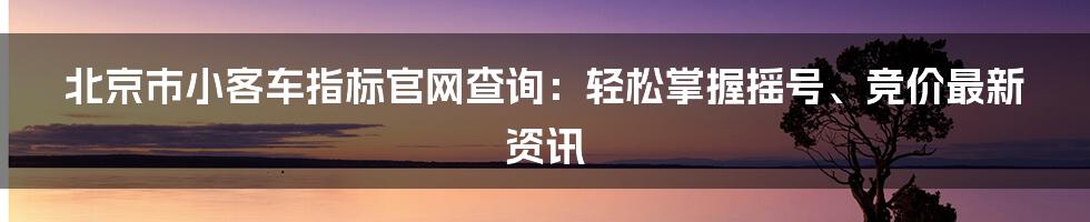 北京市小客车指标官网查询：轻松掌握摇号、竞价最新资讯