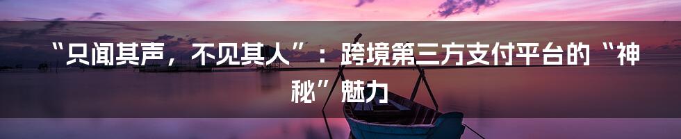 “只闻其声，不见其人”：跨境第三方支付平台的“神秘”魅力