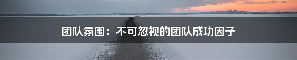 团队氛围：不可忽视的团队成功因子