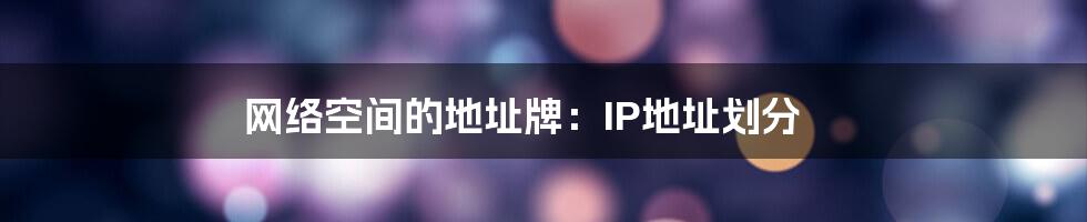 网络空间的地址牌：IP地址划分